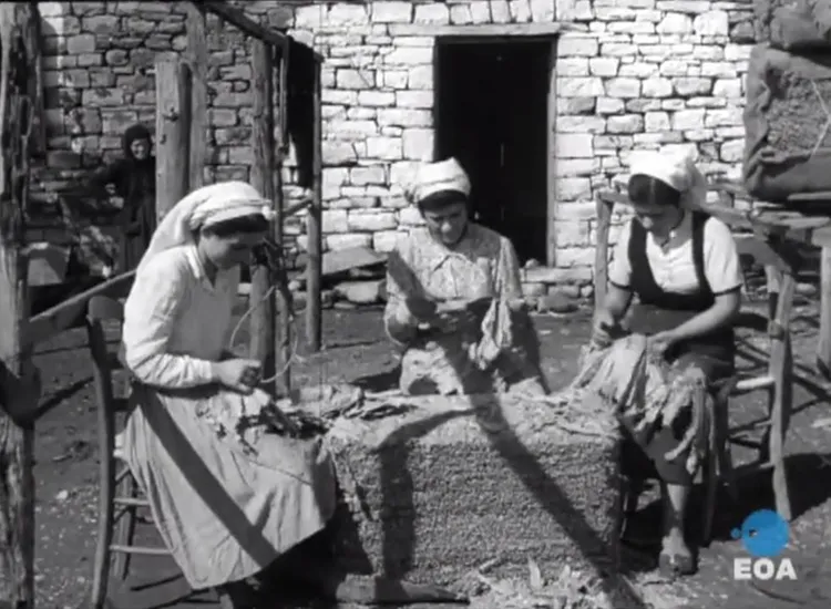 Αρμάθιασμα στο Αγρίνιο, 1954. Φωτογραφία από το αρχείο του ΓΙάννη Γιαννακόπουλου